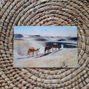 Paysage désert du Sahara / dromadaires et  nomades /carte postale ancienne /antique photo d'Afrique du nord-A33