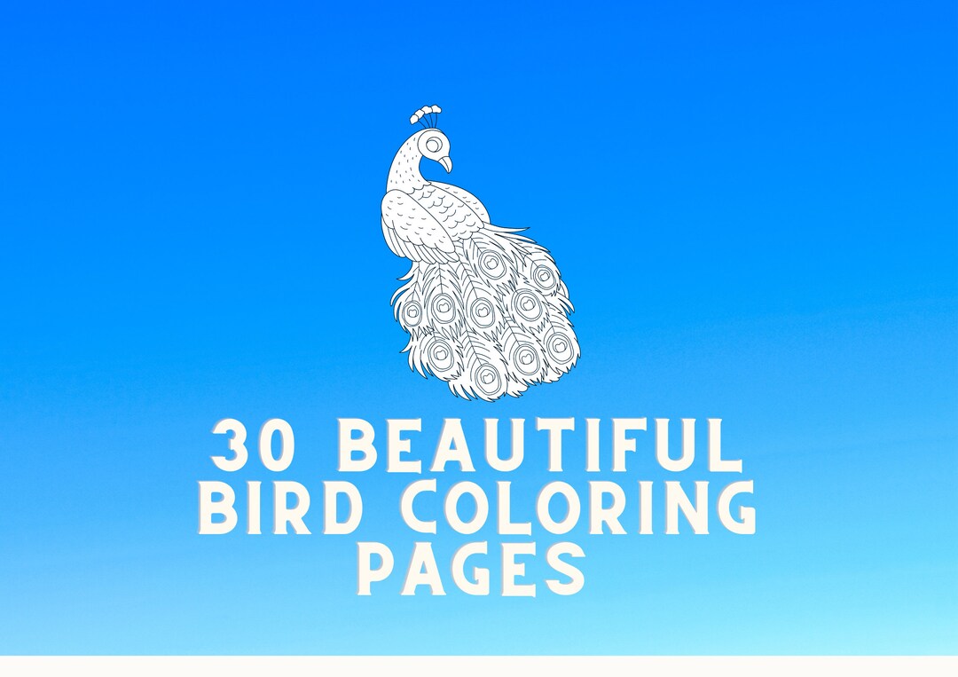 30 BEAUTIFUL Bird Coloring Pages for Kids and Adults Instant Download ...