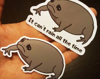 Grumpy Rain Frogs Etsy