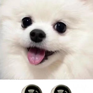 Puede incluir: Primer plano de un perro blanco y esponjoso con expresión feliz, lengua rosa y ojos oscuros. Debajo, dos ojos de cristal azul oscuro y transparente, probablemente para manualidades o juguetes.