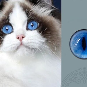 Ragdoll cat eyes Glass eyes for toys Blue cat eyes felted toys eyes diy felting animals stuffed toys Blue glass cabochons flat bottom diy