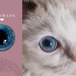 May include: Close-up of a cat's face with striking blue eyes. The eyes are a vibrant blue with dark pupils, set against white and light brown fur. The word "HANDMADE" is displayed on a pink background.