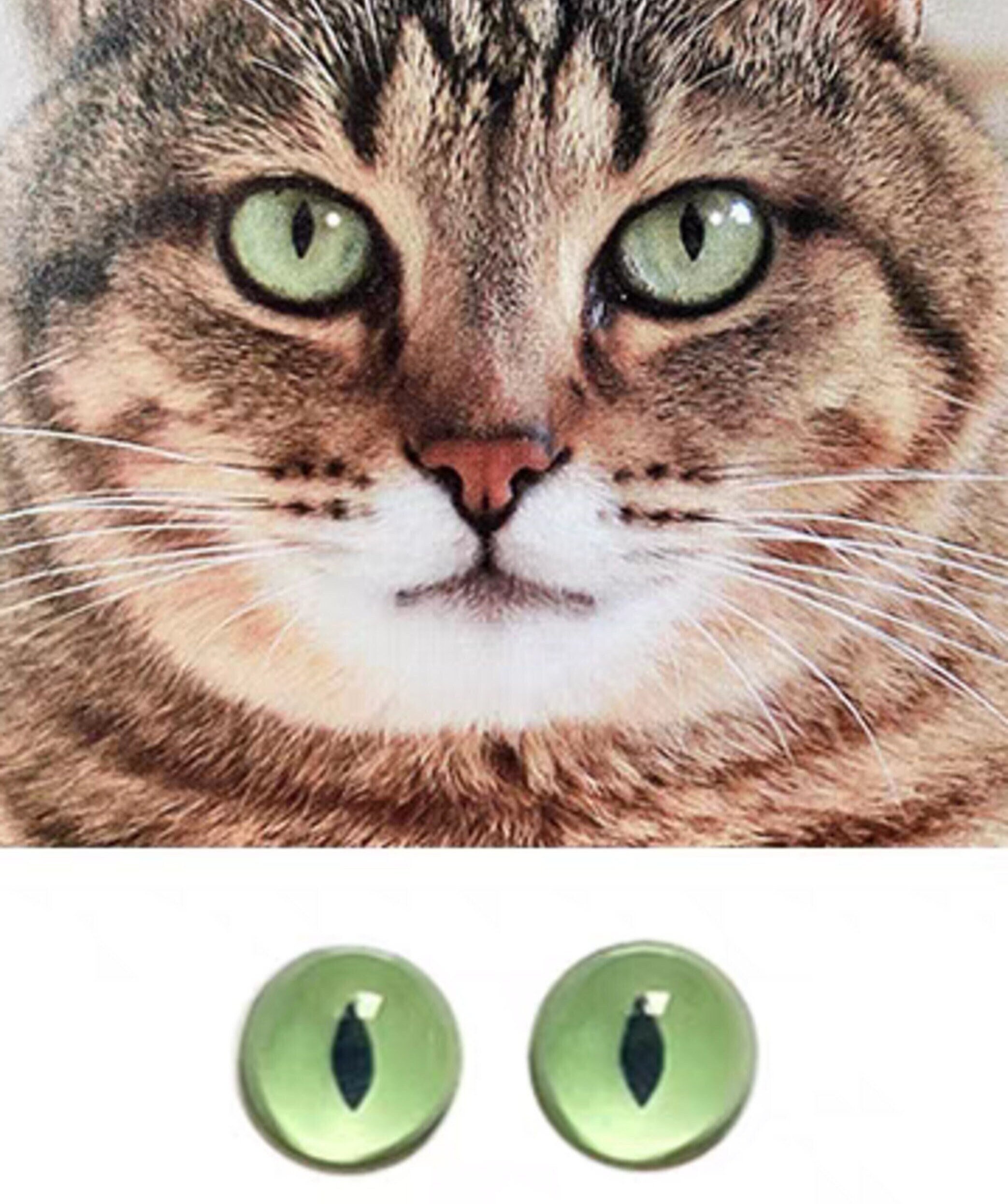 猫の目 緑の猫の目、猫の緑の目、ガラスの目、おもちゃ用のカボション