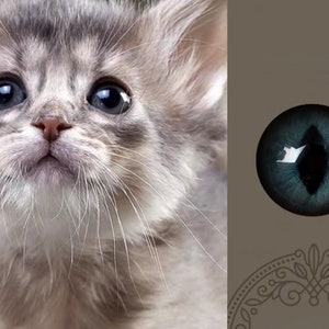 Realistic gray cat blue eyes glass eye cabochons eyes for toys felted cat eyes stuffed toy eyes greyish kitten doll eyes amigurumi toy diy