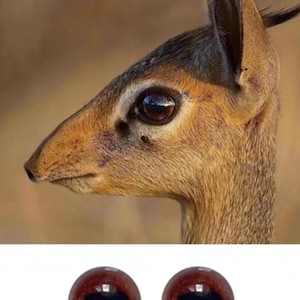 Brown deer eyes sheep glass eyes for toy felted lamb stuffed toy amigurumi realistic black cow eyes goat clay figure christmas reindeer eyes