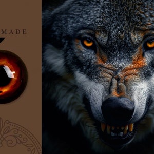 May include: Close-up of a wolf's face with orange eyes. The wolf is snarling with its teeth showing. The fur is grey and black.