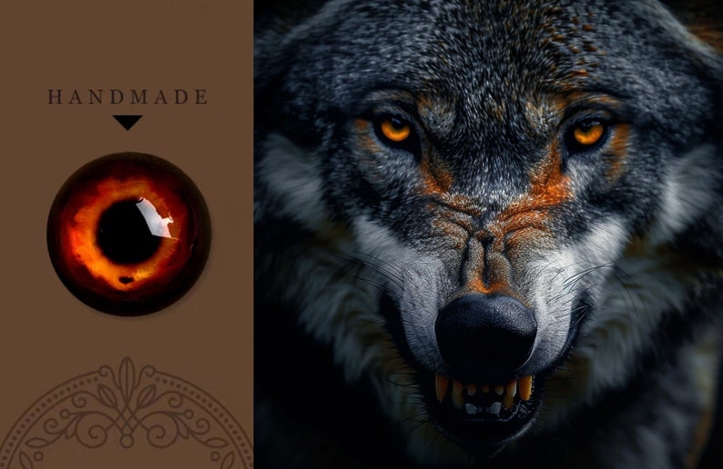 May include: Close-up of a wolf's face with orange eyes. The wolf is snarling with its teeth showing. The fur is grey and black.