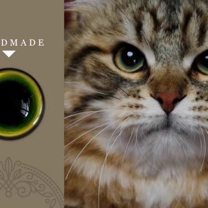 Puede incluir: Primer plano de la cara de un gato con ojos verdes y un patr&oacute;n tabby marr&oacute;n y blanco. El gato tiene una expresi&oacute;n seria y mira directamente a la c&aacute;mara.