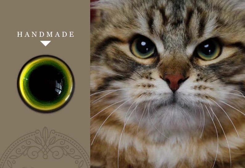 Puede incluir: Primer plano de la cara de un gato con ojos verdes y un patr&oacute;n tabby marr&oacute;n y blanco. El gato tiene una expresi&oacute;n seria y mira directamente a la c&aacute;mara.