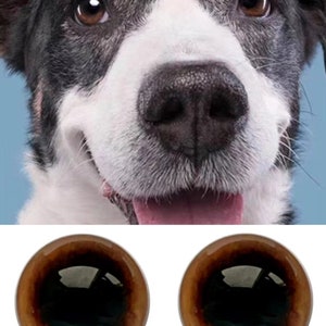 Ojos de perro marrones, ojos negros de color marrón dorado para juguetes, ojos de vidrio para hacer uno mismo, ojos de perro de fieltro, ojos de peluche para muñecos de perro, ojos de cachorro amigurumi hechos a mano.