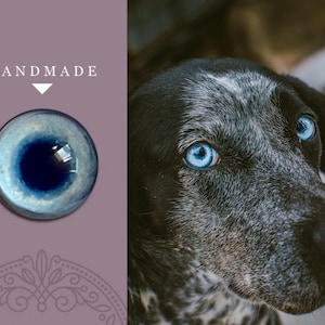 Blue puppy eyes blue dog eyes felted toys bulldog doll eyes diy felting animals light blue glass cabochons flat back eyes flat bottom eye
