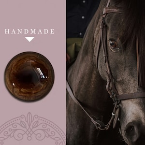 Op de afbeelding: Close-up van een bruin paardenoog met een lederen hoofdstel. Het oog van het paard is donkerbruin met een lichtbruine ring rond de pupil. Het hoofdstel is van bruin leer met een zilveren gesp.