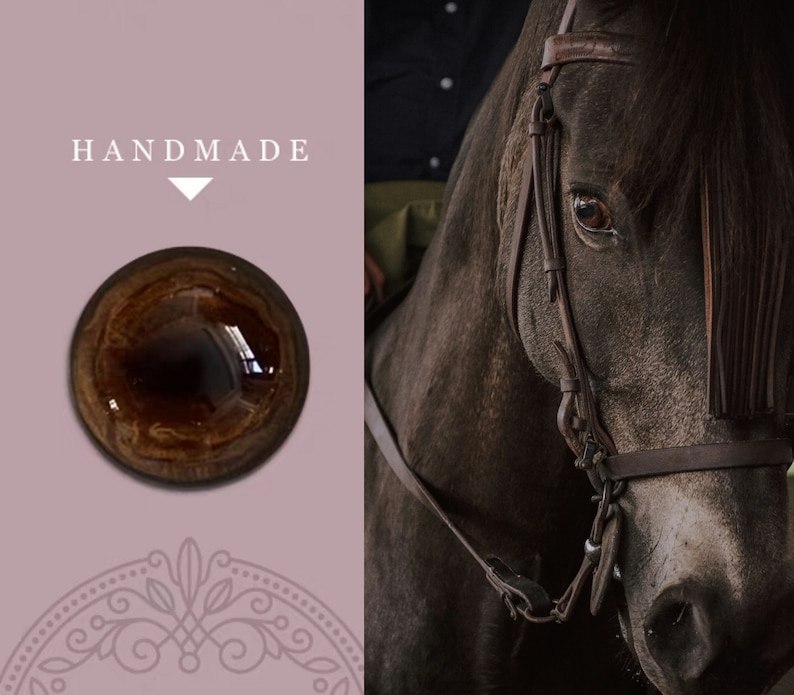 Op de afbeelding: Close-up van een bruin paardenoog met een lederen hoofdstel. Het oog van het paard is donkerbruin met een lichtbruine ring rond de pupil. Het hoofdstel is van bruin leer met een zilveren gesp.