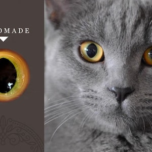 Realistic yellow cat eyes glass eye cabochons yellow eyes for toys felted cat eyes stuffed toy eyes green kitten doll eyes amigurumi toy diy