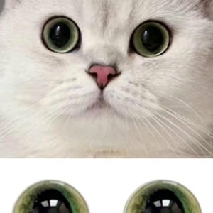 Peut inclure: Gros plan sur une paire d'yeux de chat réalistes de couleur verte et noire. Les yeux sont en plastique et ont une finition brillante.