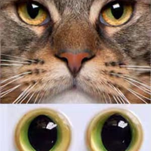 Yellow green cat eyes Yellow cat eyes glass eyes for toys felted cat felting eyes for cat stuffed toy light green kitten eyes amigurumi cat