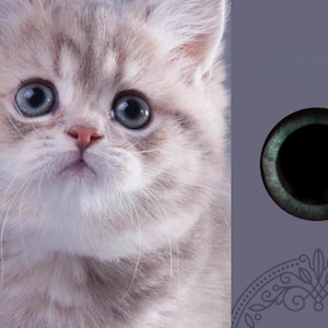 Greyish blue cat eyes realistic blue glass eye cabochons eyes for toys felted cat eyes stuffed toy kitten eyes large pupils amigurumi eyes