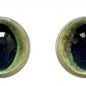 Puede incluir: Dos ojos redondos de plástico verde y negro con un borde plateado. Los ojos están diseñados para su uso en proyectos de manualidades y pasatiempos.