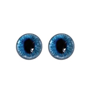 May include: Two blue doll eyes with a dark pupil and a detailed iris pattern. The eyes have a glossy finish and are set against a white background. These realistic eyes are perfect for doll making and crafting.