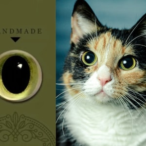 Large pupil green cat eyes glass eyes for toy felted cat stuffed toy eyes realistic yellow green kitten eyes amigurumi cat clay figure