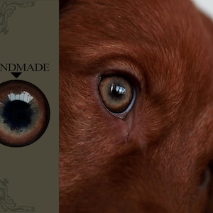 May include: A detailed image of a dog's eye, showcasing a brown iris with a dark blue center. The surrounding fur is a deep reddish-brown. The word "HANDMADE" is printed on the left side of the image.
