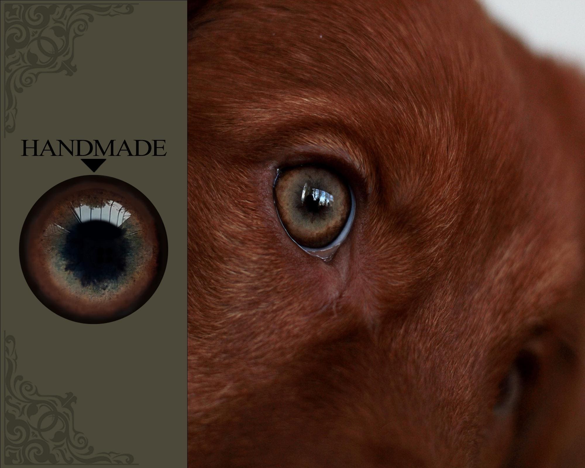Taxidermy dog - Etsy 日本