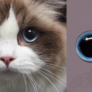 Large pupils cat eyes Glass eyes for toy Blue cat eyes felted toys eyes diy felting animals stuffed toys Blue glass cabochons flat bottom