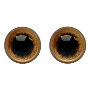 Puede incluir: Dos ojos de seguridad de pl&aacute;stico marr&oacute;n con pupilas negras. Los ojos son redondos y tienen un aspecto realista.