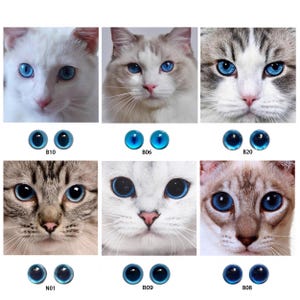 Puede incluir: Seis pares de ojos de gato azules para hacer muñecas. Los ojos se muestran sobre un fondo blanco con imágenes de gatos con diferentes colores de pelaje. Los ojos están etiquetados con números y letras.