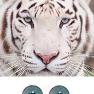 White tiger eyes Blue tiger eyes Glass eyes small pupil blue eyes for toys felted husky felting eyes stuffed toy blue eyes amigurumi doll