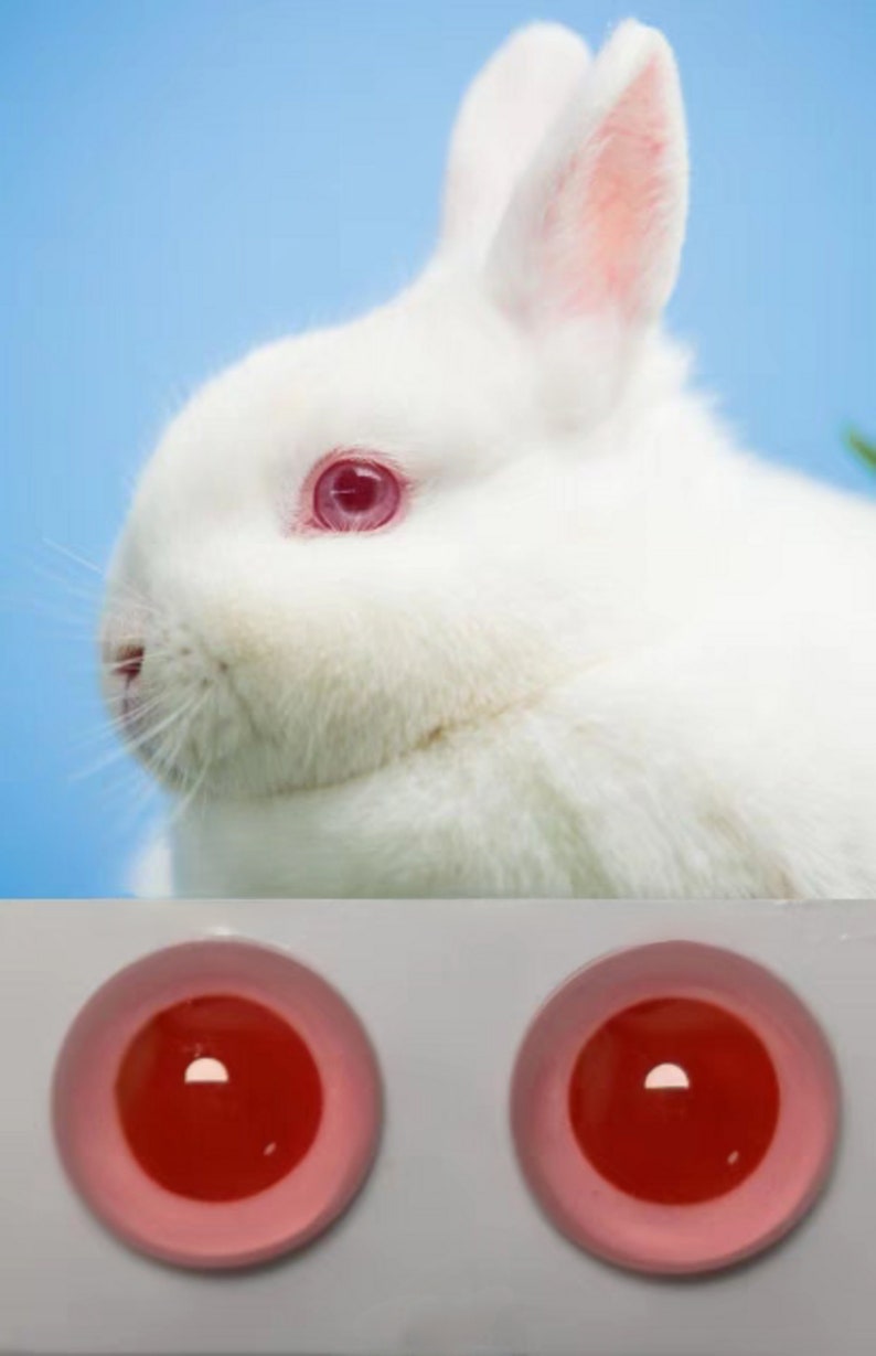 Peut inclure: Gros plan sur un lapin blanc aux oreilles roses et aux yeux rouges. Le lapin regarde vers la gauche. En dessous du lapin, deux yeux globuleux rouges et roses.