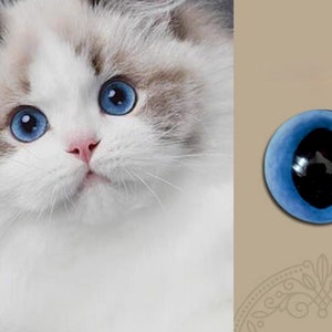 Realistic blue cat eyes blue glass eye cabochons ragdoll eyes for toys felted cat eyes stuffed toy kitten eyes large pupils amigurumi eyes
