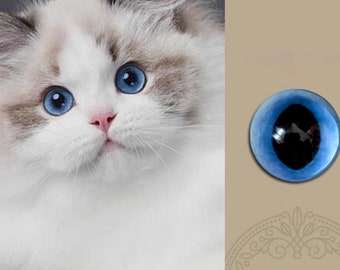 Realistische blaue Katzenaugen blaue Glasaugen Cabochons Ragdoll Augen für Spielzeuge gefilzte Katzenaugen Kuscheltier Kätzchenaugen große Pupillen Amigurumi Augen