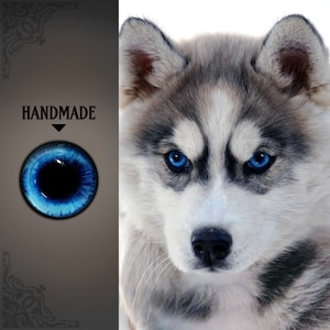 Husky eyes blue dog eyes felted toys puppy doll eyes diy felting animals light blue glass cabochons flat back eyes flat bottom eye cabochons