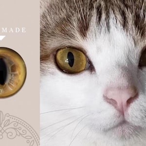 May include: A cat's face with striking yellow eyes and a pink nose. Beside it, a handmade glass cat eye with a yellow and black design. The word "HANDMADE" is above the eye, suggesting a craft item.