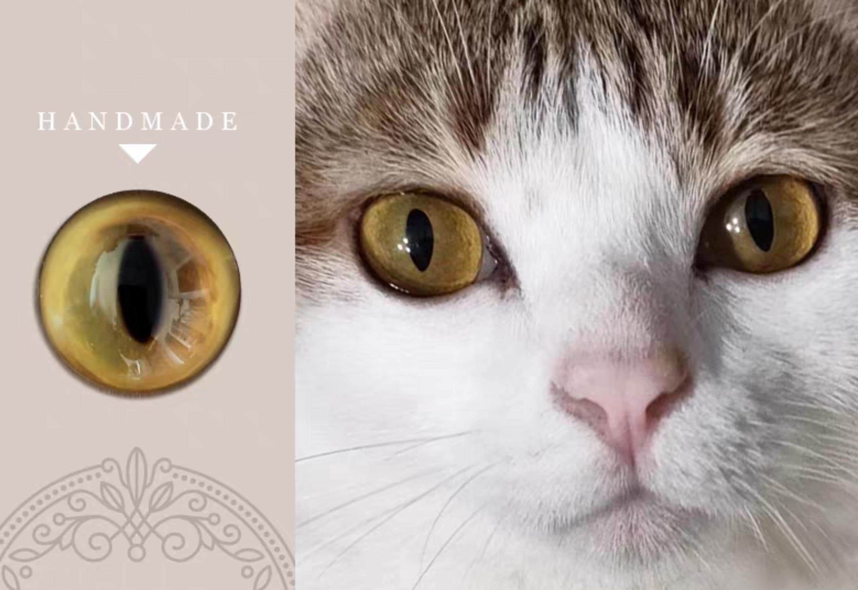 黄緑色の猫の目、リアルな猫の目、ガラス製の安全な目、猫のおもちゃの
