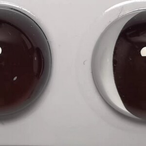 May include: Two round, dark brown glass eyes with a white crescent moon shape on the top half of each eye.