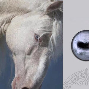 Puede incluir: Primer plano de la cabeza de un caballo blanco con un ojo azul. El ojo del caballo es grande y redondo, con una pupila oscura y un iris blanco. El pelaje del caballo es suave y esponjoso.