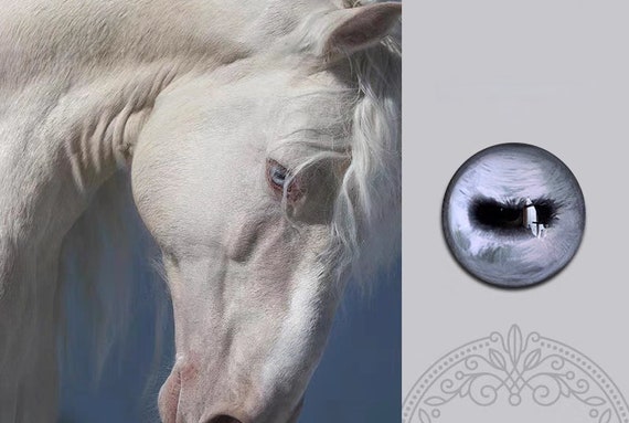 ★L0301★古代石 (107)3㎝　スレマニ　EYEビーズ　瑪瑙　護符　聖白眼 Greyish Blue Horse Eyes Blue Sheep Glass Eye Gray Goat Eyes for