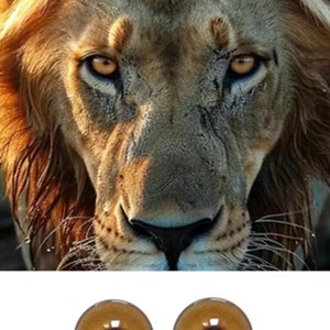 Op de afbeelding: Close-up van het gezicht van een leeuw met een geconcentreerde blik. De leeuw heeft een dikke manen van goud-bruin haar en doordringende amberkleurige ogen.