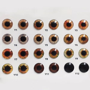 May include: A selection of twenty-four glass doll eyes in shades of brown, amber, and green, with black pupils. Each eye is round and has a glossy finish. The eyes are arranged in rows and columns, labelled Y1 to Y12.