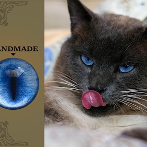 Realistic blue cat eyes glass eye felted cat eyes for toy Siamese cat eyes stuffed toy blue kitten eyes large pupils amigurumi doll eyes diy