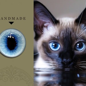 Siamese cat eyes for toy Realistic blue cat eyes glass eye felted cat eyes stuffed toy blue kitten eyes large pupils amigurumi doll eyes diy