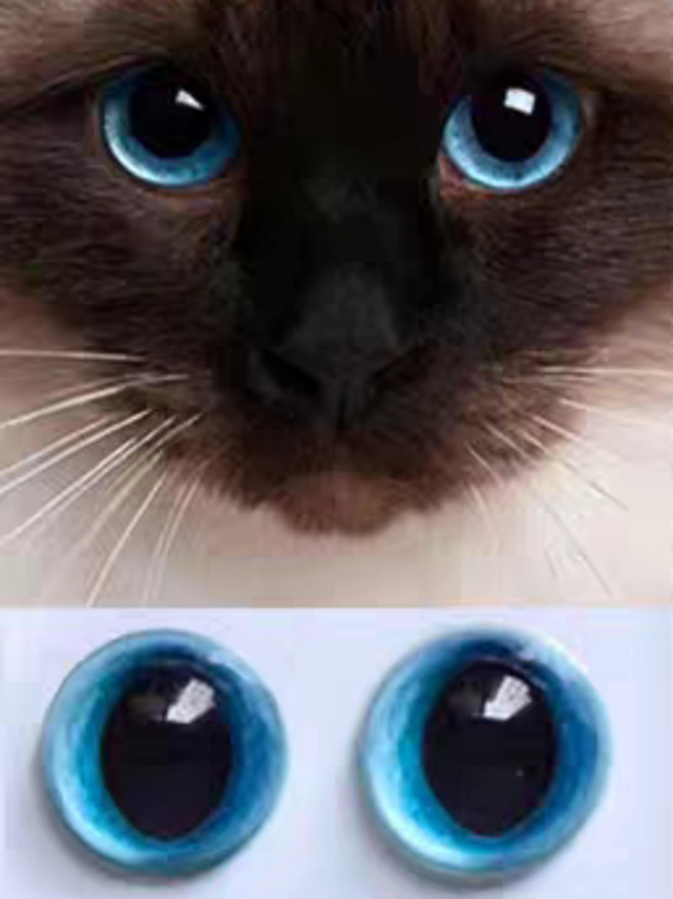 SUPERFINDINGS 40 Set di Occhi di Sicurezza Grandi da 30 mm per Amigurumi, Occhi per Pupazzi, con Rondelle per Uncinetto per Bambole di Peluche, Occhi per Cartoni Animati