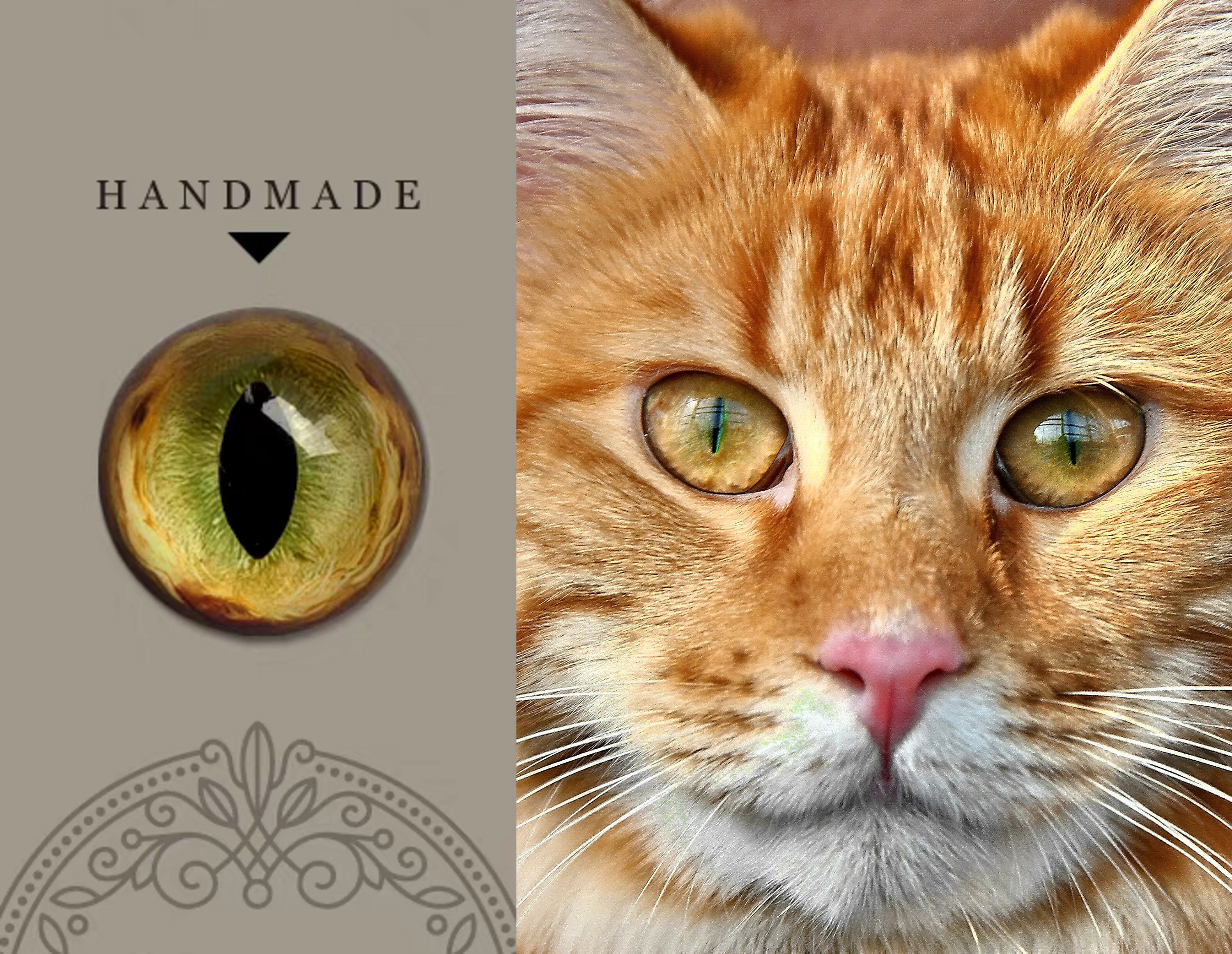 Cats Eye Cabochon - Etsy