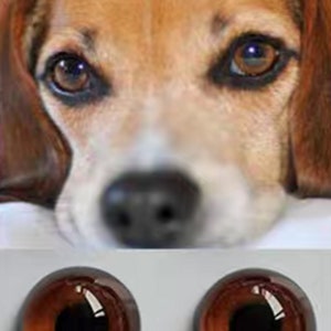 Occhi di cane marroni e neri, occhi di vetro per giocattolo, cane in feltro, occhi di animali in feltro per peluche, occhi di cucciolo marrone scuro, bambola amigurumi, occhi con pupilla grande