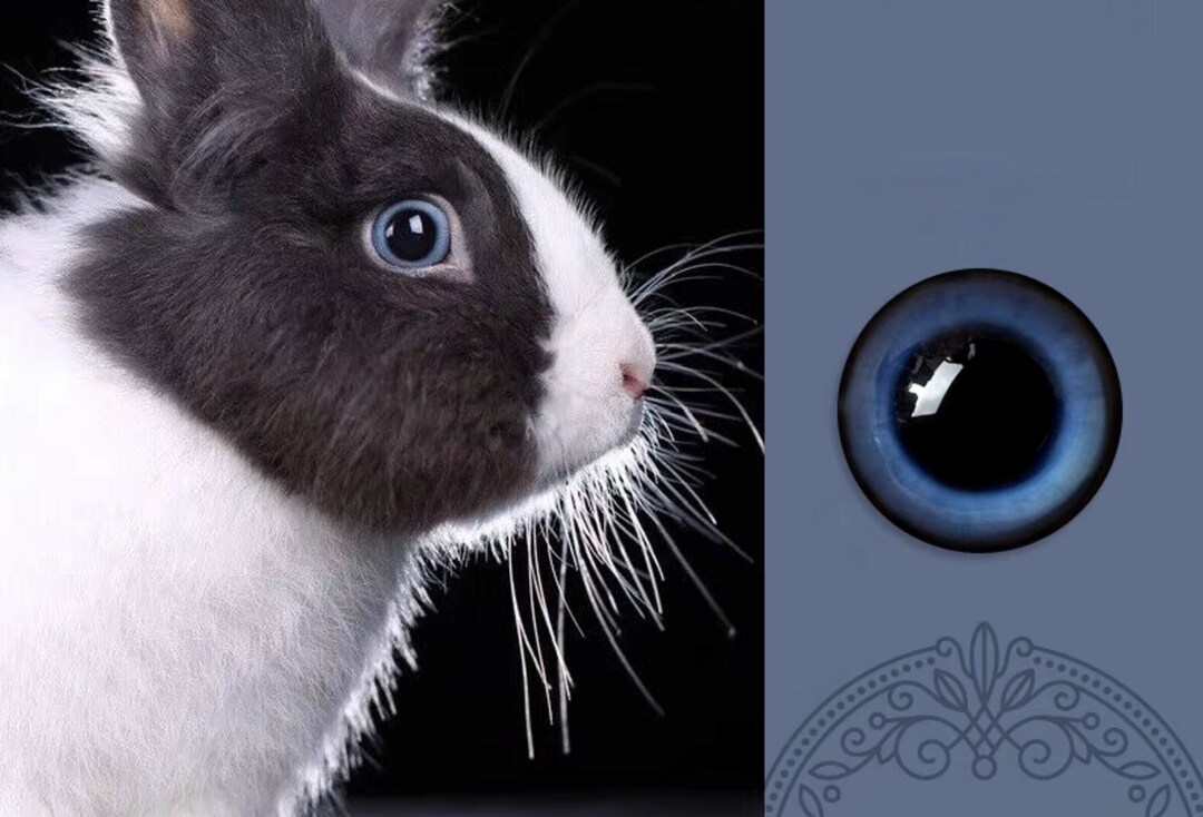 Blue Rabbit Eyes Glass Eye Cabochons Dark Blue Eyes for Toys Felted Cat ...