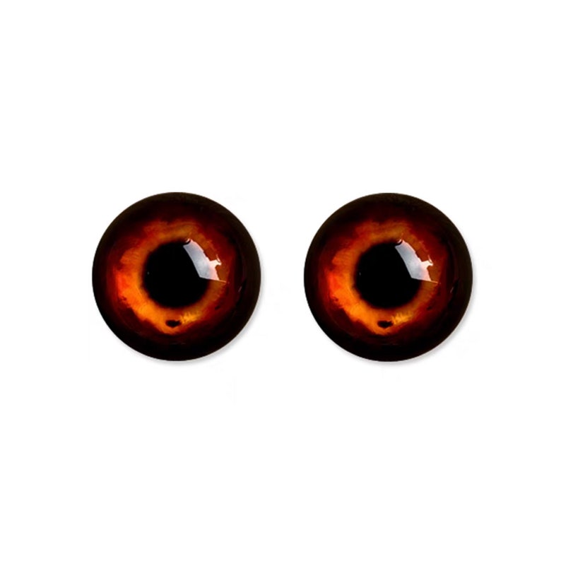 May include: Two brown glass eyes with black pupils and orange irises. The eyes are round and have a glossy finish.