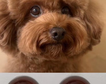 Realistic brown dog eyes diy glass eye cabochons Dark brown eyes for toys felted dog eyes stuffed toy eyes puppy doll eyes amigurumi toy