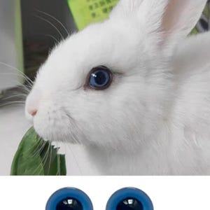 May include: Two blue plastic doll eyes with black pupils. The eyes are round and have a glossy finish.